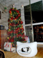 ¿Navidades con Seguro? Navidades a Prueba de Disgustos