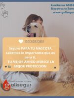 Que Tu Mejor Amigo No Te Dé Un Disgusto: Te Lo Contamos Todo Sobre los Seguros para Mascotas